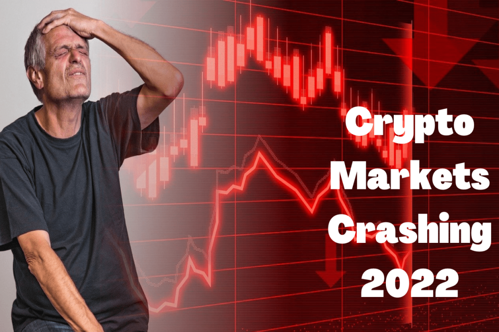 Reliable-Crypto-Brokerage-2022